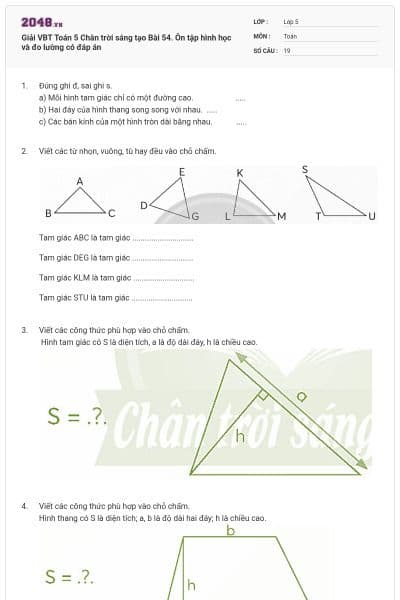 Giải VBT Toán 5 Chân trời sáng tạo Bài 54. Ôn tập hình học và đo lường có đáp án
