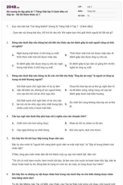 Đề cương ôn tập giữa kì 1 Tiếng Việt lớp 5 Cánh diều có đáp án - Đề thi tham khảo số 1