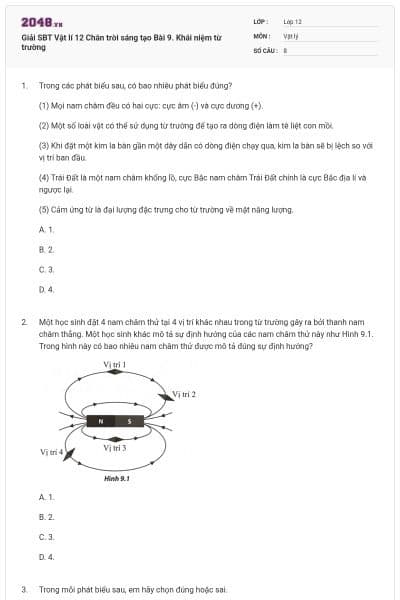 Giải SBT Vật lí 12 Chân trời sáng tạo Bài 9. Khái niệm từ trường