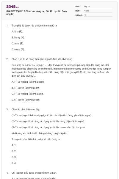Giải SBT Vật lí 12 Chân trời sáng tạo Bài 10. Lực từ. Cảm ứng từ