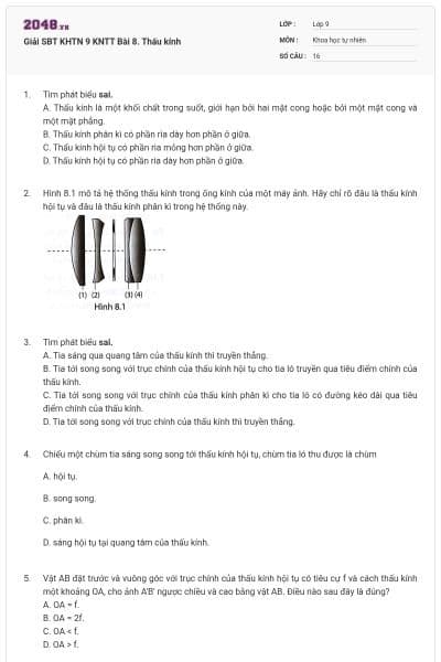 Giải SBT KHTN 9 KNTT Bài 8. Thấu kính