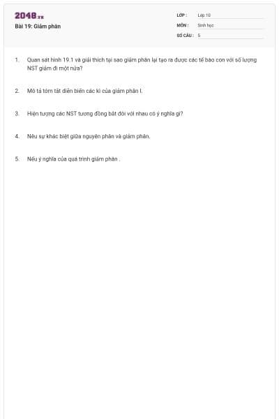 Bài 19: Giảm phân