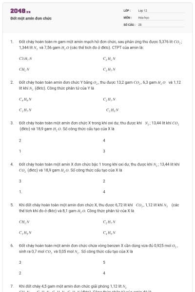 Đốt một amin đơn chức