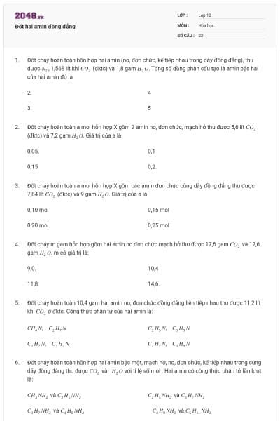 Đốt hai amin đồng đẳng