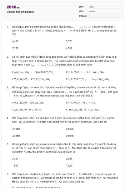 Đốt hỗn hợp amin bất kỳ