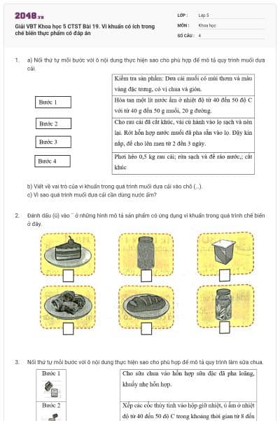 Giải VBT Khoa học 5 CTST Bài 19. Vi khuẩn có ích trong chế biến thực phẩm có đáp án