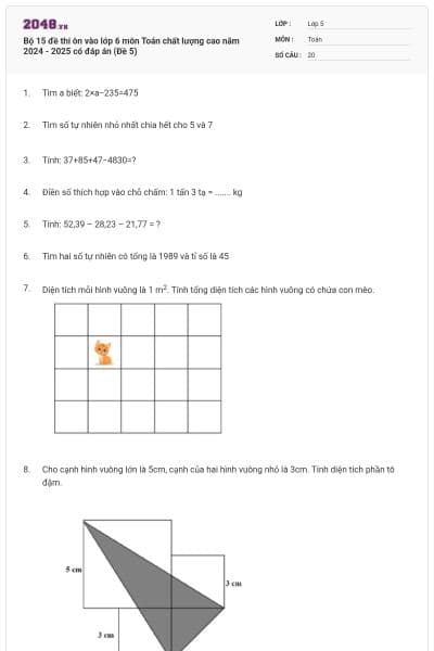 Bộ 15 đề thi ôn vào lớp 6 môn Toán chất lượng cao năm 2024 - 2025 có đáp án (Đề 5)