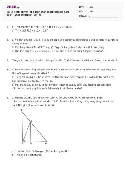 Bộ 15 đề thi ôn vào lớp 6 môn Toán chất lượng cao năm 2024 - 2025 có đáp án (Đề 14)
