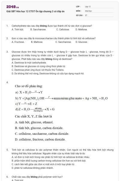 Giải SBT Hóa học 12 CTST Ôn tập chương 2 có đáp án