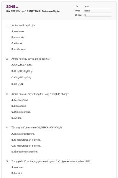 Giải SBT Hóa học 12 KNTT Bài 8: Amine có đáp án