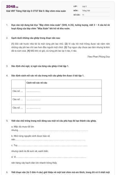 Giải VBT Tiếng Việt lớp 5 CTST Bài 5: Bầy chim mùa xuân