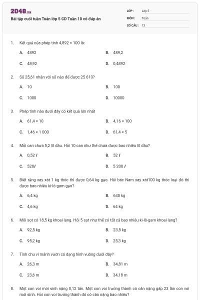 Bài tập cuối tuần Toán lớp 5 CD Tuần 10 có đáp án