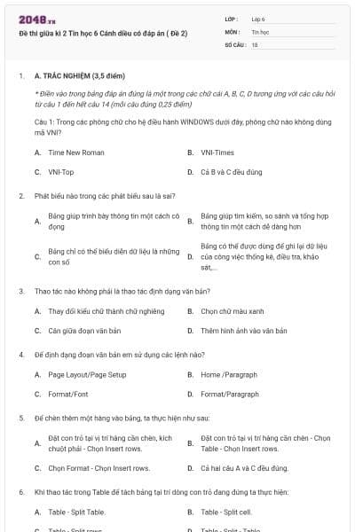 Đề thi giữa kì 2 Tin học 6 Cánh diều có đáp án ( Đề 2)