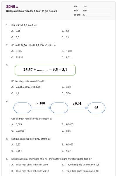 Bài tập cuối tuần Toán lớp 5 Tuần 11 (có đáp án)