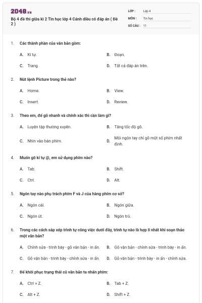 Bộ 4 đề thi giữa kì 2 Tin học lớp 4 Cánh diều có đáp án ( Đề 2 )