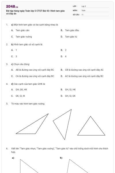 Bài tập hàng ngày Toán lớp 5 CTST Bài 43: Hình tam giác có đáp án