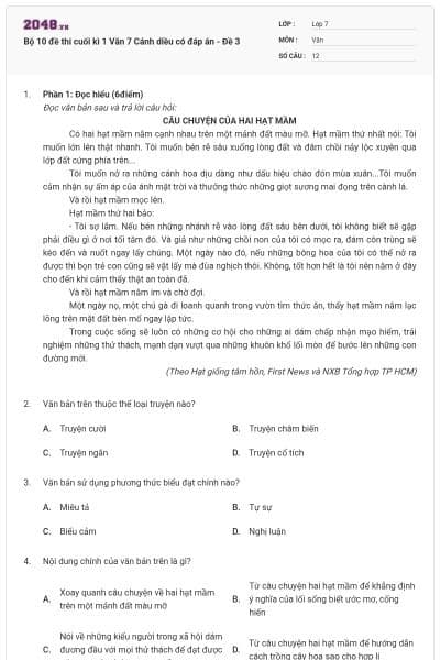 Bộ 10 đề thi cuối kì 1 Văn 7 Cánh diều có đáp án - Đề 3