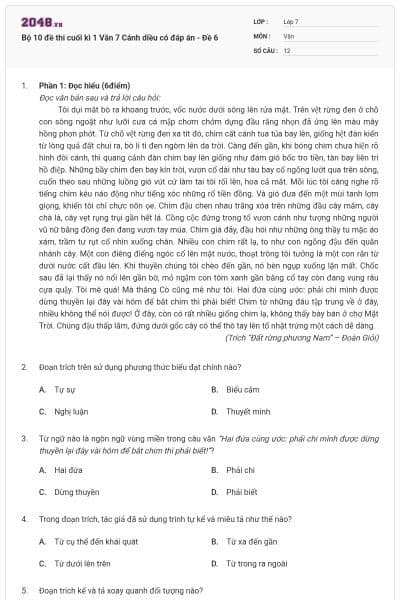 Bộ 10 đề thi cuối kì 1 Văn 7 Cánh diều có đáp án - Đề 6