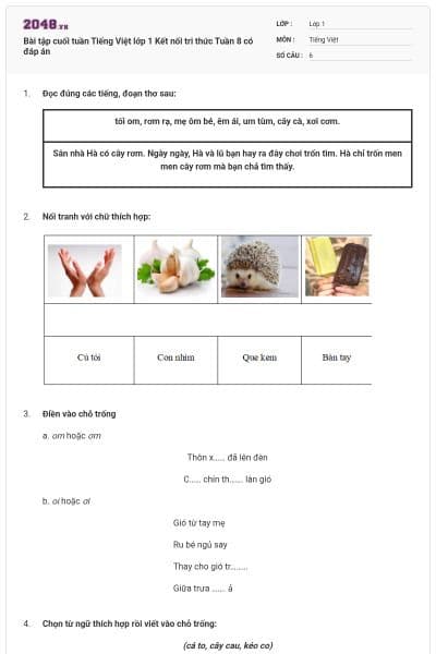 Bài tập cuối tuần Tiếng Việt lớp 1 Kết nối tri thức Tuần 8 có đáp án