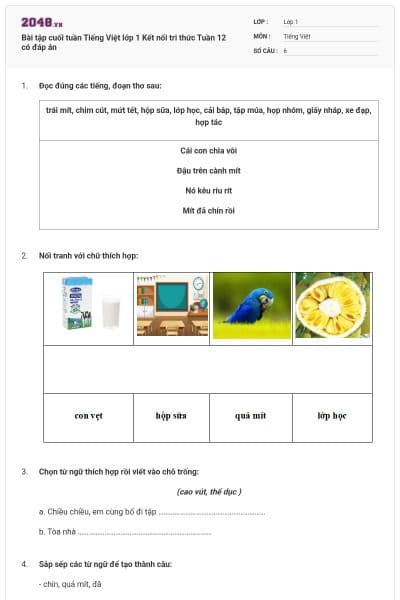 Bài tập cuối tuần Tiếng Việt lớp 1 Kết nối tri thức Tuần 12 có đáp án