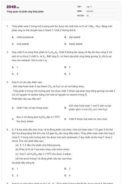 Tổng quan về phản ứng thủy phân