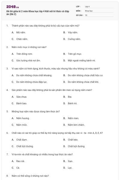 Đề thi giữa kì 2 môn Khoa học lớp 4 Kết nối tri thức có đáp án (Đề 2)