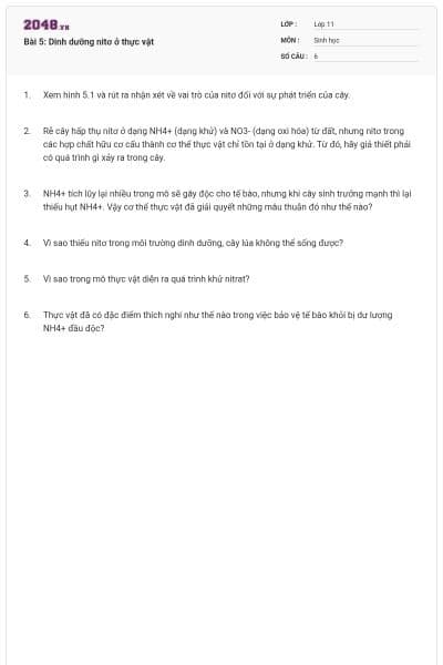 Bài 5: Dinh dưỡng nitơ ở thực vật