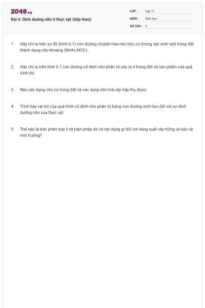 Bài 6: Dinh dưỡng nitơ ở thực vật (tiếp theo)