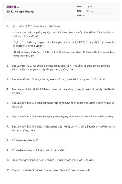 Bài 12: Hô hấp ở thực vật