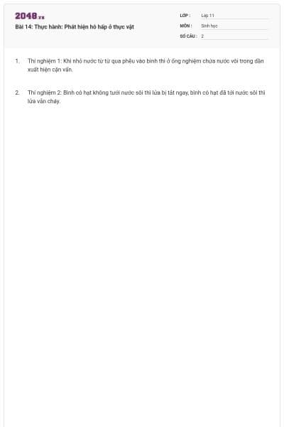 Bài 14: Thực hành: Phát hiện hô hấp ở thực vật