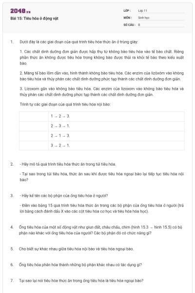 Bài 15: Tiêu hóa ở động vật