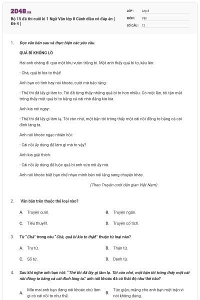 Bộ 15 đề thi cuối kì 1 Ngữ Văn lớp 8 Cánh diều có đáp án ( Đề 4 )