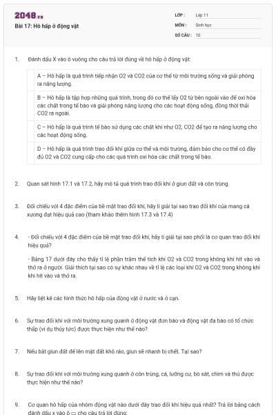 Bài 17: Hô hấp ở động vật