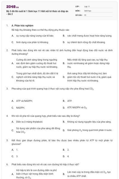 Bộ 3 đề thi cuối kì 1 Sinh học 11 Kết nối tri thức có đáp án - Đề 2