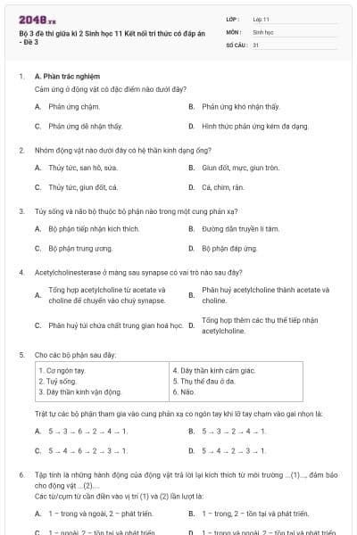 Bộ 3 đề thi giữa kì 2 Sinh học 11 Kết nối tri thức có đáp án - Đề 3