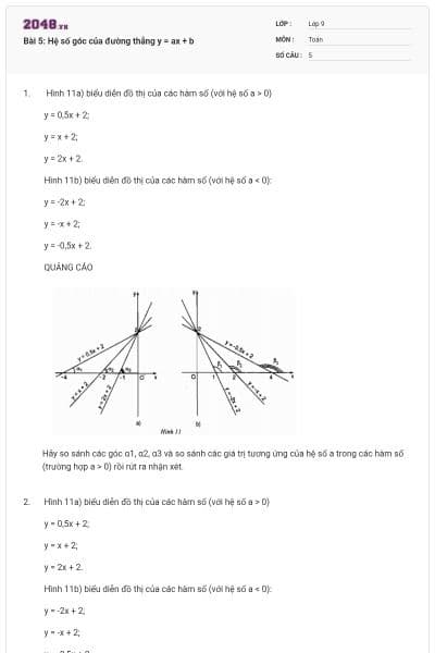 Bài 5: Hệ số góc của đường thẳng y = ax + b