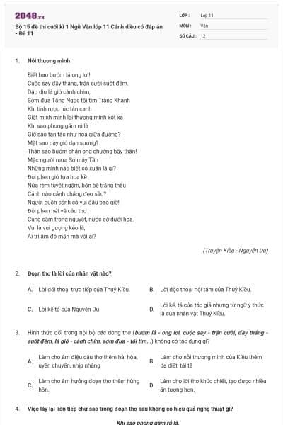 Bộ 15 đề thi cuối kì 1 Ngữ Văn lớp 11 Cánh diều có đáp án - Đề 11