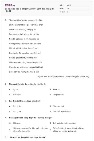 Bộ 15 đề thi cuối kì 1 Ngữ Văn lớp 11 Cánh diều có đáp án - Đề 12