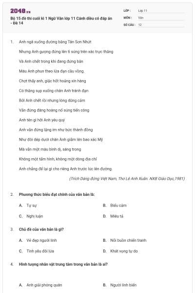 Bộ 15 đề thi cuối kì 1 Ngữ Văn lớp 11 Cánh diều có đáp án - Đề 14