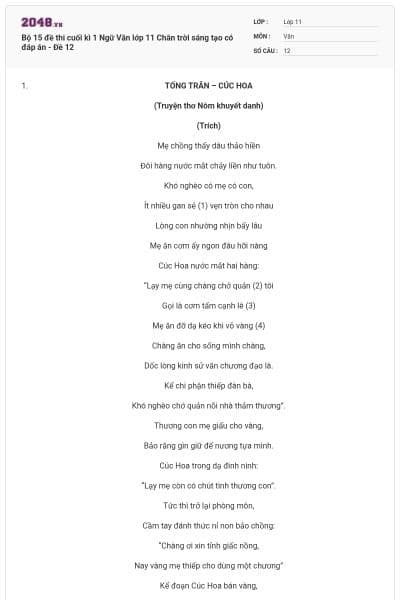 Bộ 15 đề thi cuối kì 1 Ngữ Văn lớp 11 Chân trời sáng tạo có đáp án - Đề 12