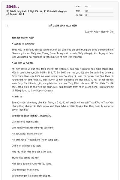 Bộ 10 đề thi giữa kì 2 Ngữ Văn lớp 11 Chân trời sáng tạo có đáp án - Đề 4