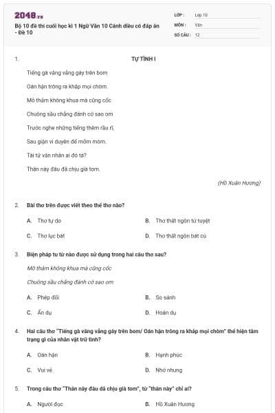 Bộ 10 đề thi cuối học kì 1 Ngữ Văn 10 Cánh diều có đáp án - Đề 10