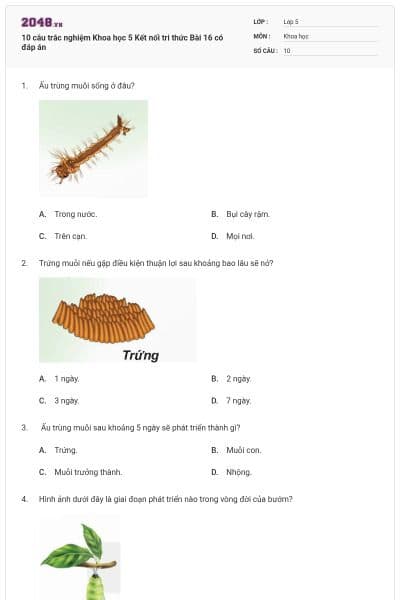 10 câu trắc nghiệm Khoa học 5 Kết nối tri thức Bài 16 có đáp án