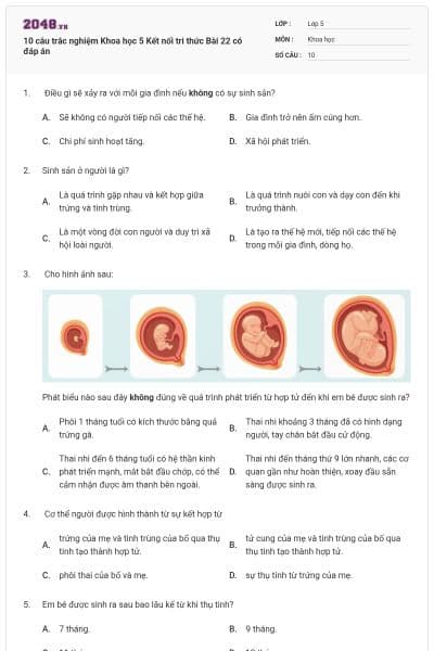 10 câu trắc nghiệm Khoa học 5 Kết nối tri thức Bài 22 có đáp án