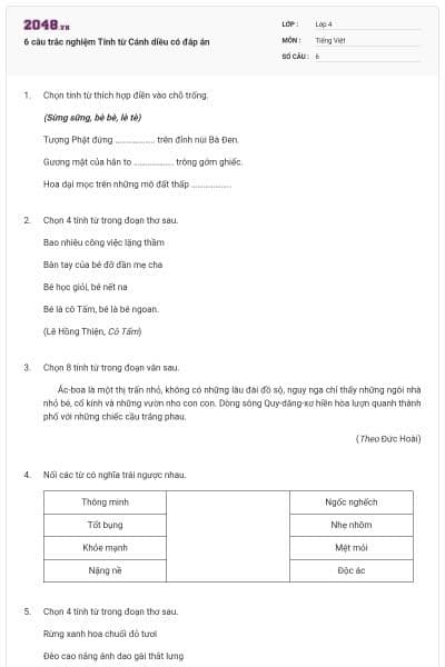 6 câu trắc nghiệm Tính từ Cánh diều có đáp án