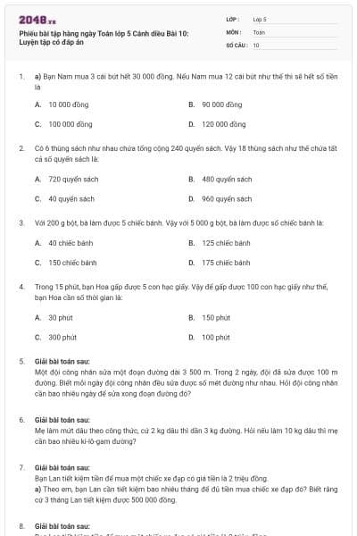 Phiếu bài tập hàng ngày Toán lớp 5 Cánh diều Bài 10: Luyện tập có đáp án