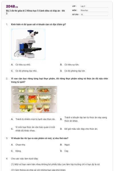 Bộ 2 đề thi giữa kì 2 Khoa học 5 Cánh diều có đáp án - Đề 2