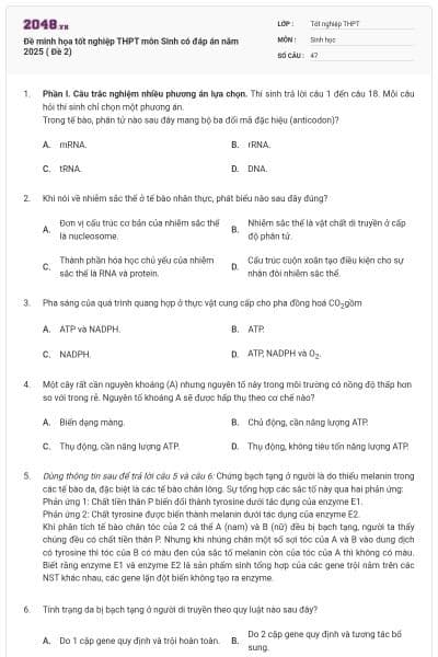 Đề minh họa tốt nghiệp THPT môn Sinh có đáp án năm 2025 ( Đề 2)