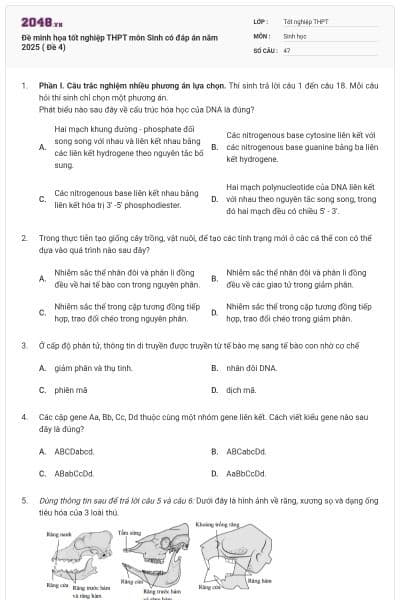 Đề minh họa tốt nghiệp THPT môn Sinh có đáp án năm 2025 ( Đề 4)