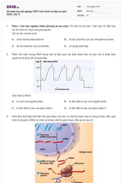 Đề minh họa tốt nghiệp THPT môn Sinh có đáp án năm 2025 ( Đề 7)